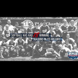 Image post by @fausoftball on Instagram