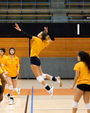 Image post by @utepvb on Instagram