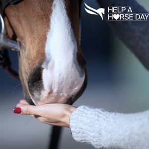 Image post by @pegasusworldcup on Instagram
