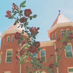 Image post by @nauflagstaff on Instagram