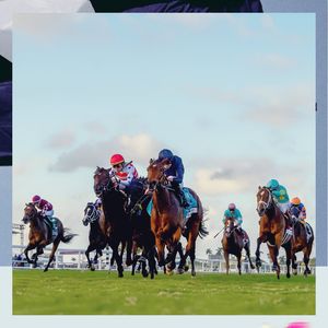 Image post by @pegasusworldcup on Instagram