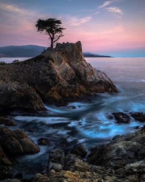 Image post by @pebblebeachresorts on Instagram