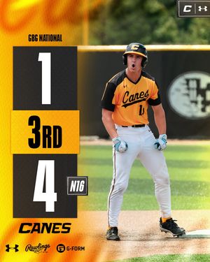 Image post by @thecanesbb on Instagram