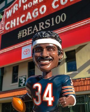 Image post by @chicagobears on Instagram