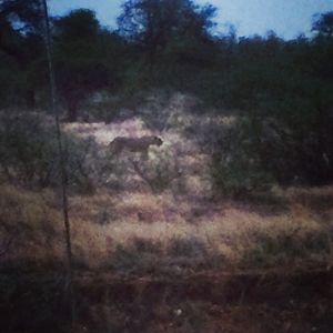 Image post by @allasventer on Instagram