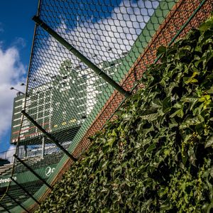 Image post by @cubs on Instagram