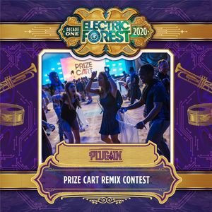 Image post by @electric_forest on Instagram