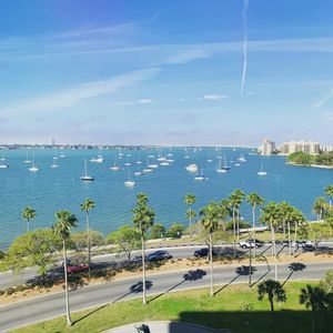 Image post by @visitsarasotacounty on Instagram