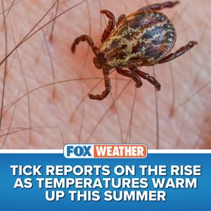 Image post by @foxweather on Instagram