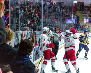 Image post by @CornellMHockey on Twitter
