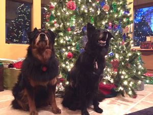 Image post by @zeetabody on Instagram