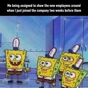 Image post by @9gag on Instagram