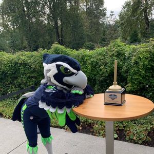 Image post by @blitztheseahawk on Instagram