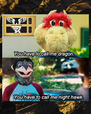 Image post by @nllwings on Instagram