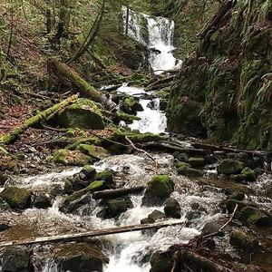 Image post by @tourismabbotsford on Instagram