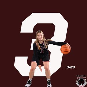 Image post by @mitwbball on Instagram