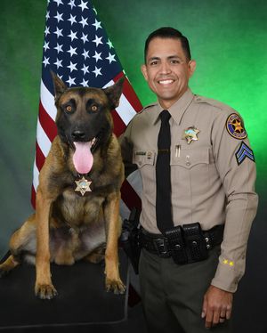 Image post by @vcsheriff on Instagram