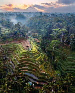Image post by @discovery on Instagram