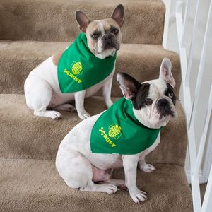 Image post by @animalplanet on Instagram