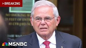 Video post by @msnbc on YouTube
