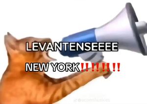 Image post by @nyknicks on TikTok