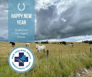 Image post by @NZHorseAmbulanceTrust on Facebook