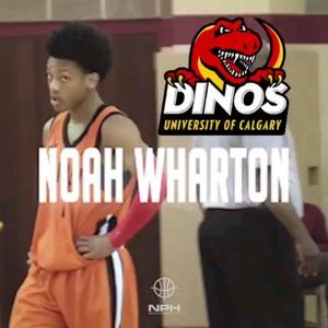 Image post by @onpointbasketball on Instagram