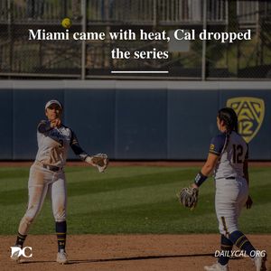 Image post by @dailycalsports on Instagram