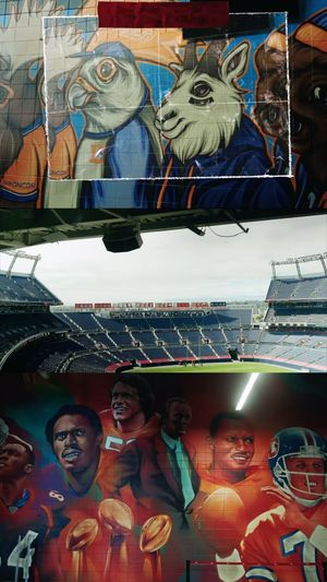 Video post by @Guerilla-Sports on Facebook