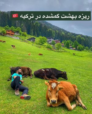 Image post by @travelgardi on Instagram
