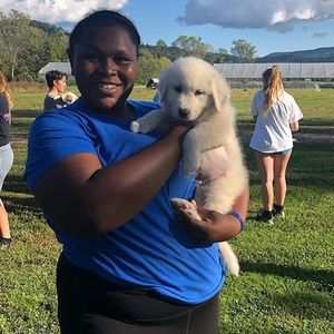 Image post by @brevardcollegewlax on Instagram