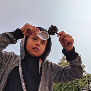 Image post by @kidsgardening on Instagram