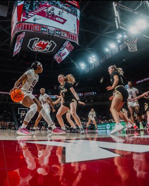 Image post by @gamecockwbb on Instagram