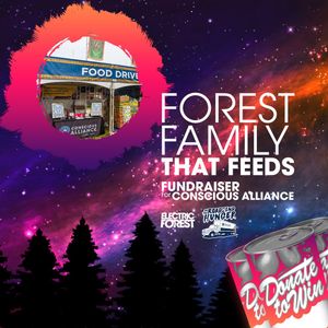 Image post by @electric_forest on Instagram