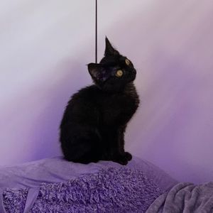 Image post by @3rdleggreg on Instagram