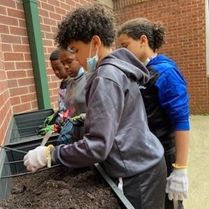 Image post by @kidsgardening on Instagram