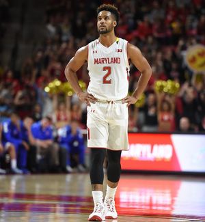 Image post by @terrapinhoops on Instagram