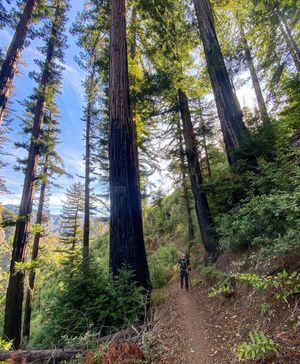 Image post by @storquest on Instagram