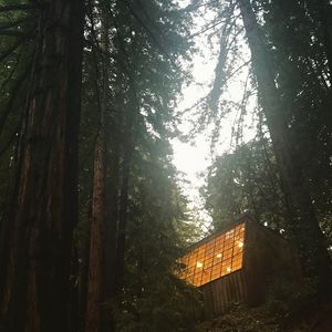 Image post by @ucsc on Instagram