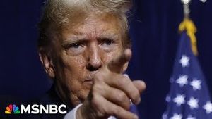 Video post by @msnbc on YouTube
