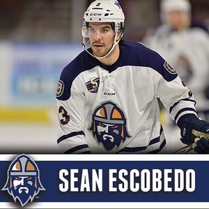 Image post by @swamprabbits on Instagram
