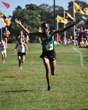 Image post by @dyestat on Instagram