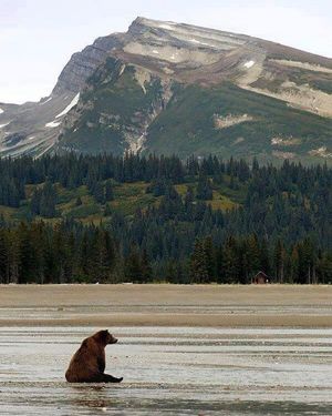 Image post by @nationalparkservice on Instagram