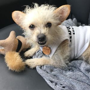 Image post by @nikkiglaser on Instagram
