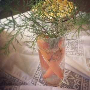 Image post by @bonnieplants on Instagram