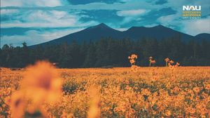 Image post by @nauflagstaff on Instagram