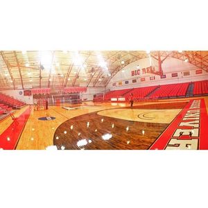 Image post by @denisonu on Instagram