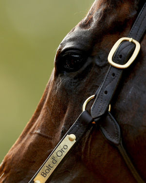 Image post by @michaelmreaves on Instagram