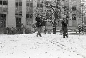 Image post by @northeastern on Instagram