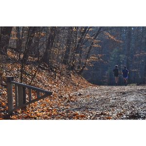 Image post by @kylemerber on Instagram
